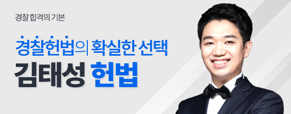 김태성헌법